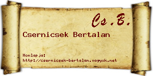 Csernicsek Bertalan névjegykártya